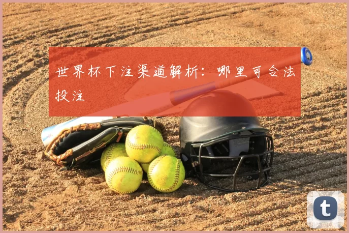 世界杯下注渠道解析:哪里可合法投注