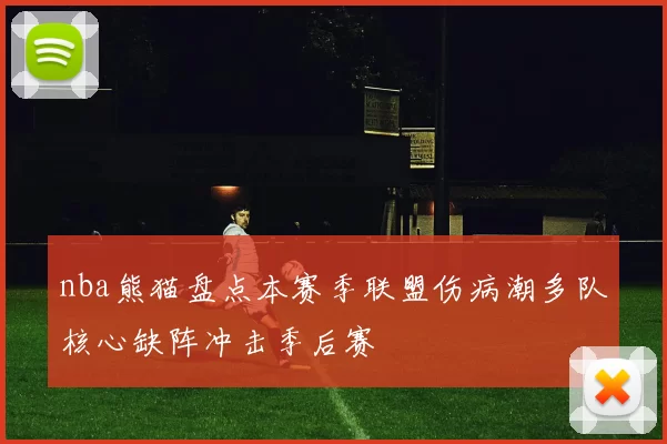 nba熊猫盘点本赛季联盟伤病潮多队核心缺阵冲击季后赛