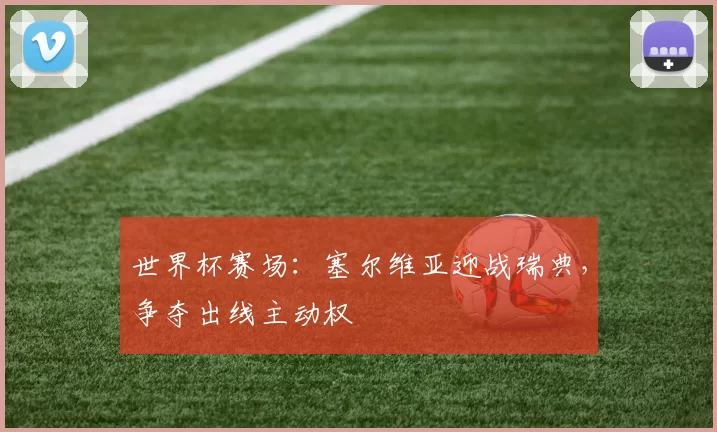 世界杯赛场:塞尔维亚迎战瑞典,争夺出线主动权