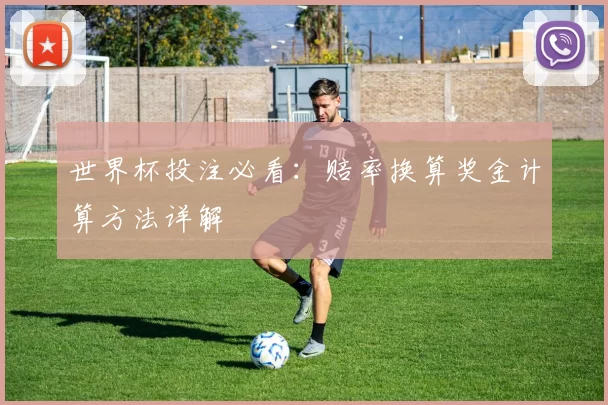 世界杯投注必看:赔率换算奖金计算方法详解