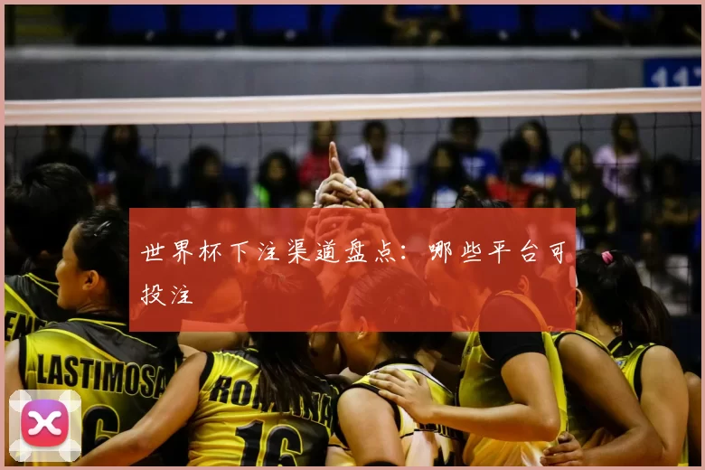 世界杯下注渠道盘点:哪些平台可投注