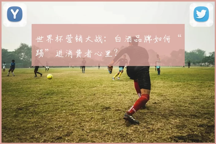 世界杯营销大战:白酒品牌如何“踢”进消费者心里?