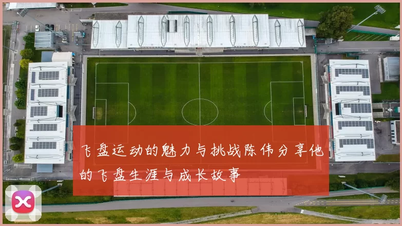 飞盘运动的魅力与挑战陈伟分享他的飞盘生涯与成长故事