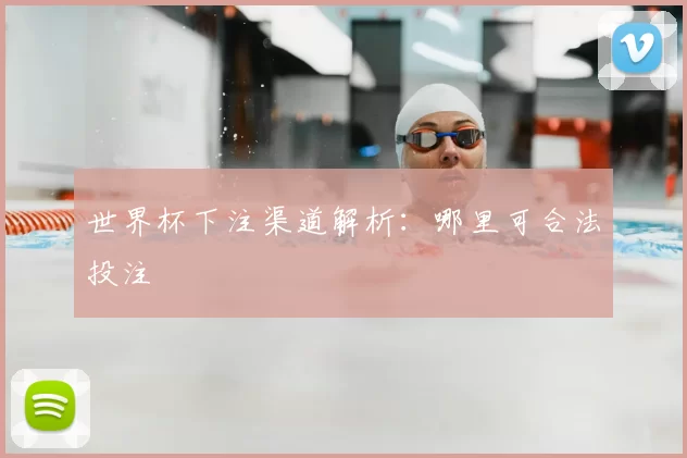 世界杯下注渠道解析:哪里可合法投注