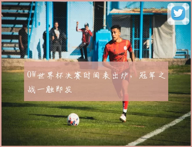 OW世界杯决赛时间表出炉,冠军之战一触即发