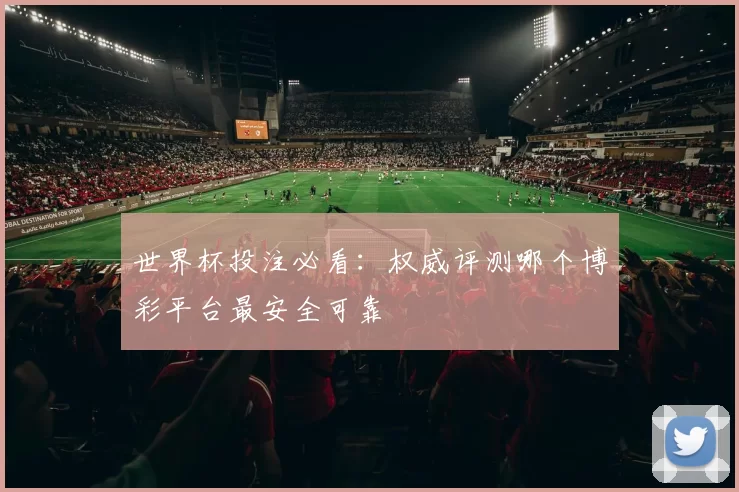 世界杯投注必看:权威评测哪个博彩平台最安全可靠